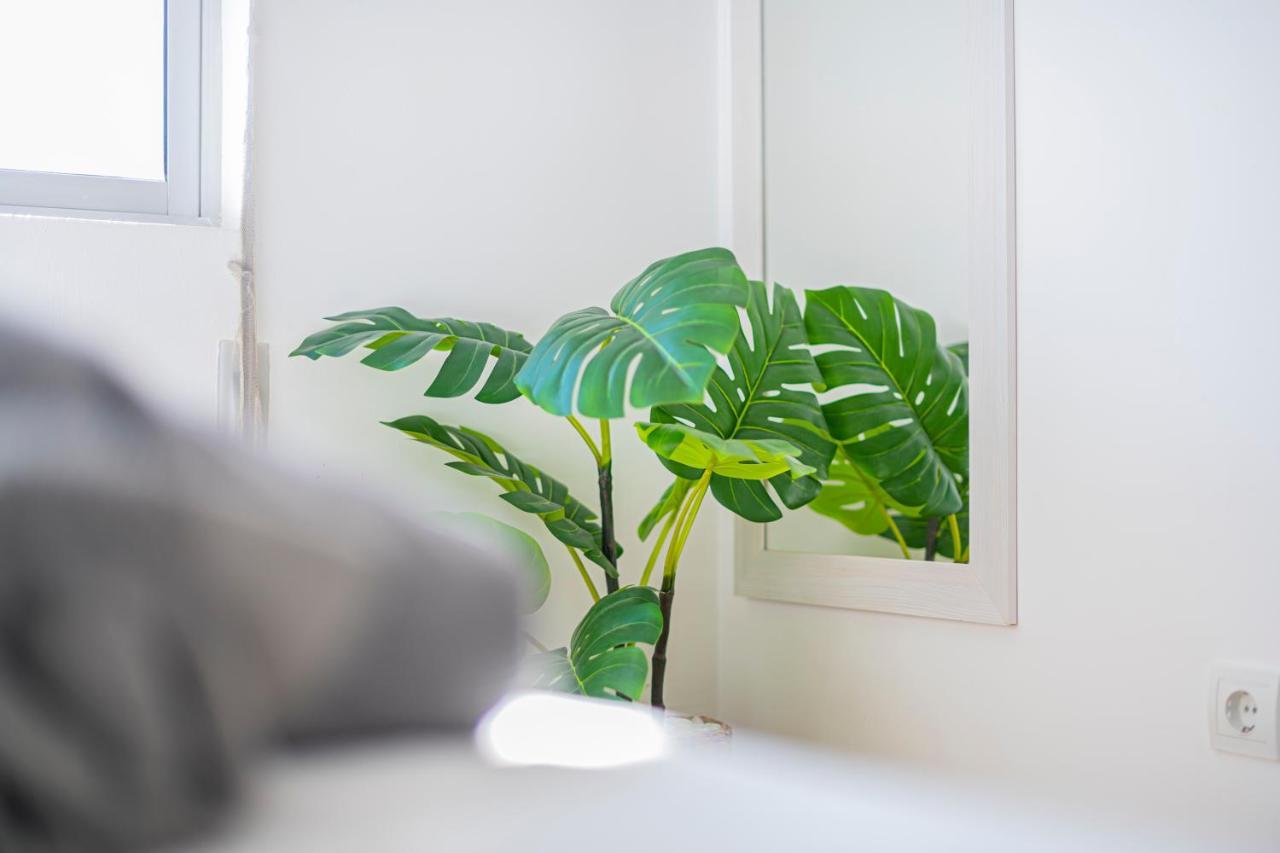 Levante Dreams House Tarifa 아파트 외부 사진